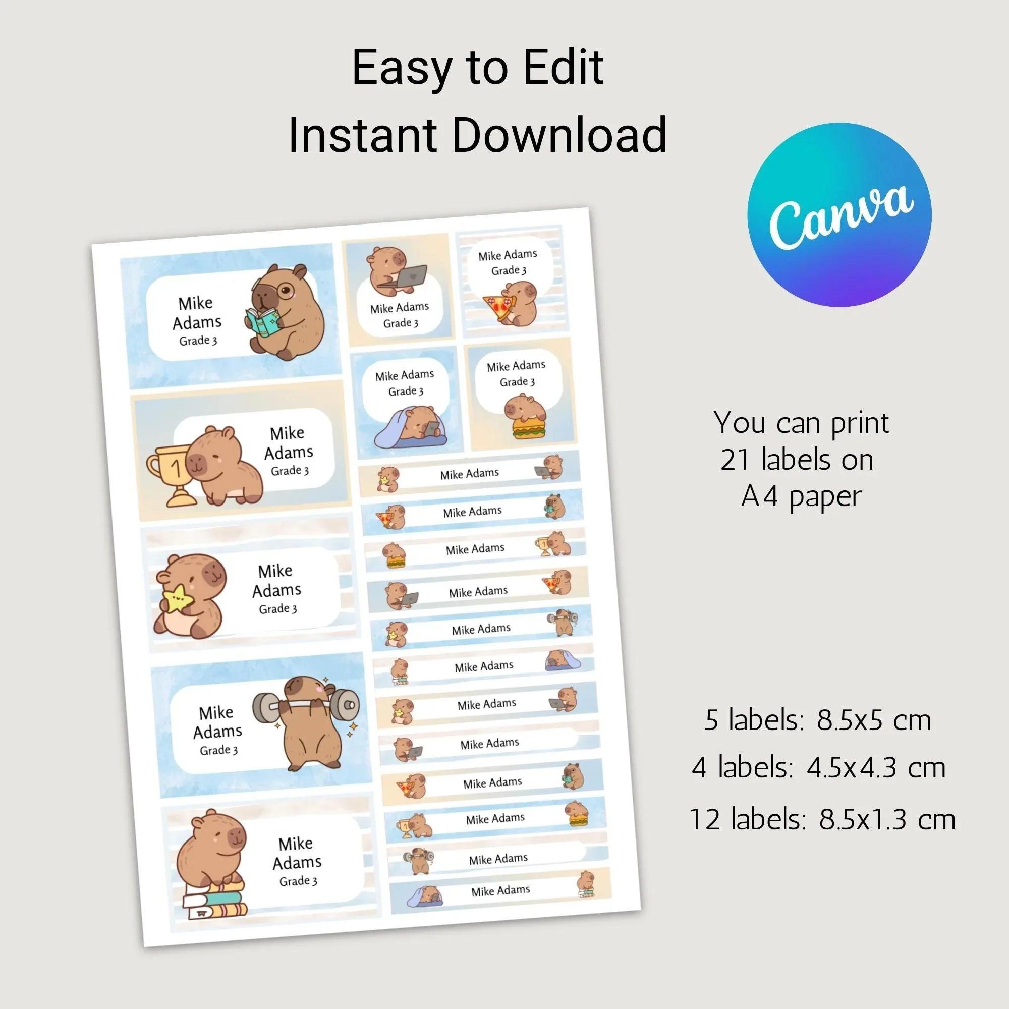 Kawaii Capybara School Name Labels – Cute Kawaii Capybara Sticker Set – Pastel Donut & Laptop Designs – Printable Name Tags for Kids - Lovely Printable Party