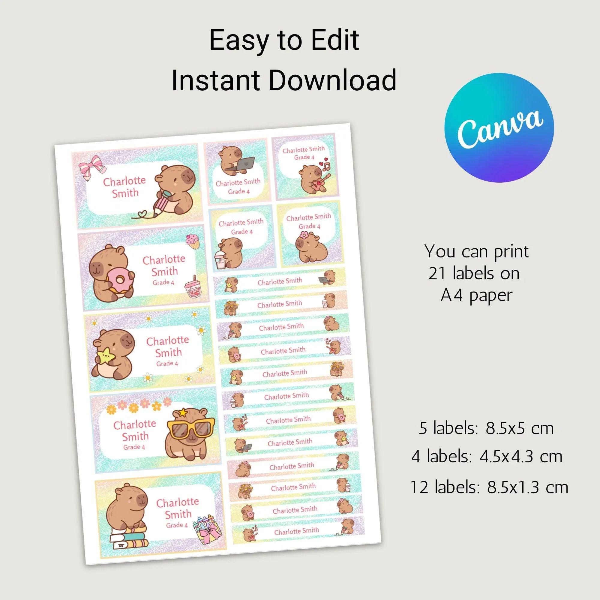 Kawaii Capybara School Name Labels – Cute Kawaii Capybara Sticker Set – Pastel Donut & Laptop Designs – Printable Name Tags for Kids - Lovely Printable Party